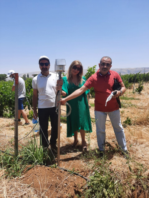 Thematic training in the Bekaa region in Lebanon on “Decision Support System for Irrigation Advisory” 12 June 2021